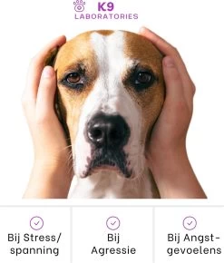 K9 Laboratories Kalmte & Balans - Hond - 60 Stuks - Bij Stress, Angst En Agressie - Ashwagandha - L-tryptofaan - Passiebloem - Valeriaanwortel - Lavendel 15 K9 Laboratories Kalmte & Balans - Hond - 60 Stuks - Bij Stress, Angst En Agressie - Ashwagandha - L-tryptofaan - Passiebloem - Valeriaanwortel - Lavendel -Dierenwinkel 1023x1200