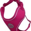 DDOXX Hondenharnas, Reflecterend, Verstelbaar, Breakaway | Borstharnas Voor Klein, Middelgroot | Hondenharnas Hond Kat Puppy Auto | Kattenharnas Puppy Harnas | Roze Roze, S 1 DDOXX Hondenharnas, Reflecterend, Verstelbaar, Breakaway | Borstharnas Voor Klein, Middelgroot | Hondenharnas Hond Kat Puppy Auto | Kattenharnas Puppy Harnas | Roze Roze, S -Dierenwinkel 1032x1200