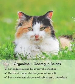 Gedrag In Balans - Kat - O.a. Bij Stress En Angst - 45 Tabletten A 400mg -Dierenwinkel 1071x1200 1