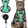 Kattentuigje Met Leiband Riem Kattenharnas Groen Maat M Kat & Kitten - Dieren Kattenriem - Cat Leash - Halsomvang 20 Tot 26cm - Borstomvang 30 Tot 34cm - Zootic® 2 Kattentuigje Met Leiband Riem Kattenharnas Groen Maat M Kat & Kitten - Dieren Kattenriem - Cat Leash - Halsomvang 20 Tot 26cm - Borstomvang 30 Tot 34cm - Zootic® -Dierenwinkel 1091x1200