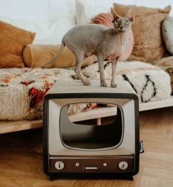 District 70 TELLY - Retro TV Krabmeubel - Instagrammable Kartonnen TV Voor Katten - 39 X 27 X 37 Cm 18 District 70 TELLY - Retro TV Krabmeubel - Instagrammable Kartonnen TV Voor Katten - 39 X 27 X 37 Cm -Dierenwinkel 1112x1200 2