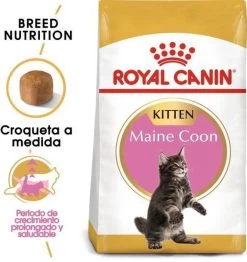 Royal Canin Maine Coon Kitten - Kattenvoer - 4 Kg 28 Royal Canin Maine Coon Kitten - Kattenvoer - 4 Kg -Dierenwinkel 1132x1200 4