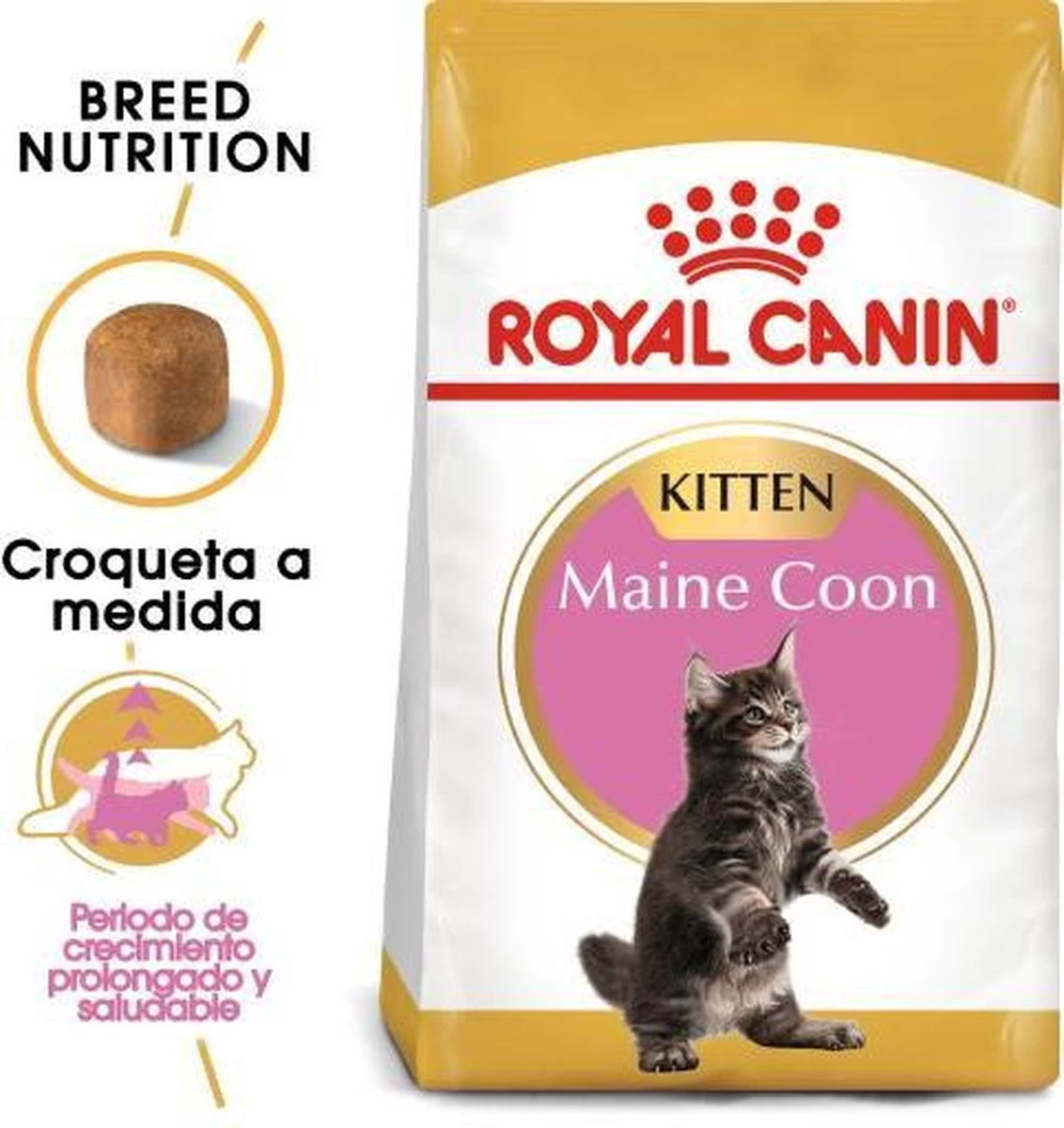 Royal Canin Maine Coon Kitten - Kattenvoer - 4 Kg 14 Royal Canin Maine Coon Kitten - Kattenvoer - 4 Kg - Afbeelding 12