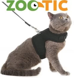Zootic Kattentuigje Met Leiband Riem Kattenharnas Zwart Maat M Kat & Kitten - Halsomvang 20 Tot 26cm - Borstomvang 30 Tot 34cm -Dierenwinkel 1135x1200 2
