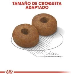 Royal Canin Maxi Ageing 8+ 15 KG 27 Royal Canin Maxi Ageing 8+ 15 KG -Dierenwinkel 1149x1200 3