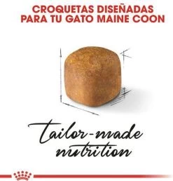 Royal Canin Maine Coon Kitten - Kattenvoer - 4 Kg 24 Royal Canin Maine Coon Kitten - Kattenvoer - 4 Kg -Dierenwinkel 1151x1200 1