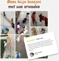 Dubbele Honden Riem – Leiband Hond – Hondenlijn – Looplijn Hond – 2 Honden – 3 Meter – Tot 12kg Per Hond – Reflecterende Lijnen – Met Zaklamp – 360° Draaien – Verstelbaar - Zwart 18 Dubbele Honden Riem – Leiband Hond – Hondenlijn – Looplijn Hond – 2 Honden – 3 Meter – Tot 12kg Per Hond – Reflecterende Lijnen – Met Zaklamp – 360° Draaien – Verstelbaar - Zwart -Dierenwinkel 1160x1200 3