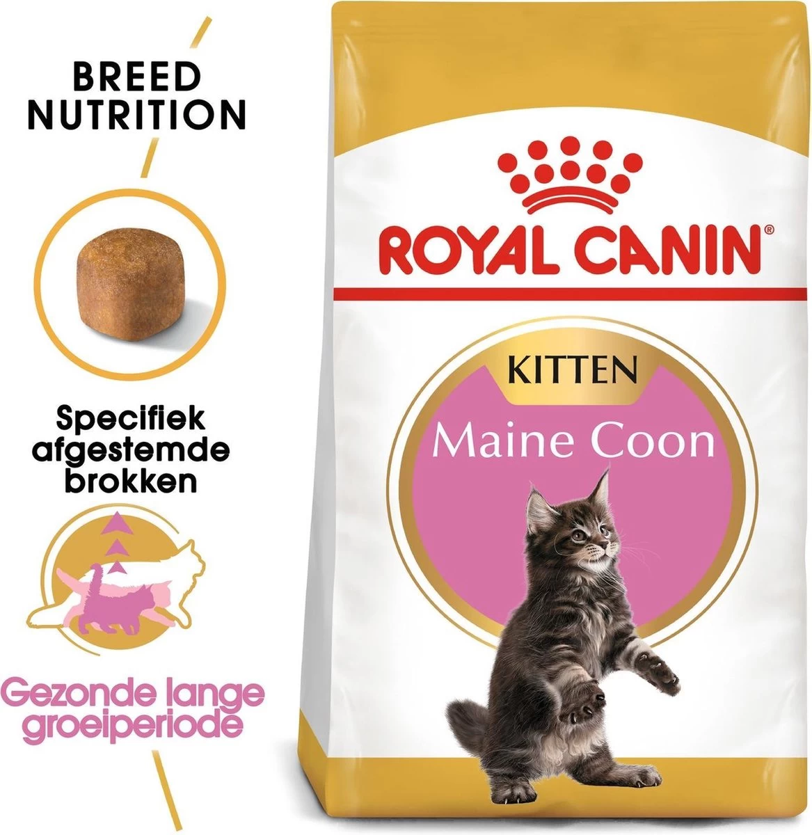 Royal Canin Maine Coon Kitten - Kattenvoer - 4 Kg 4 Royal Canin Maine Coon Kitten - Kattenvoer - 4 Kg - Afbeelding 2