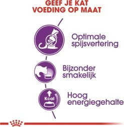 Royal Canin Sensible 33 - Kattenvoer - 10+2 Kg Bonusbag -Dierenwinkel 1178x1200 1