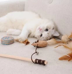 GIZMO Luxe Kattenspeeltjes Set - 7 Speeltjes - Interactieve Kattenhengel, Kattenspeelgoed & Speelmuisjes - Kitten Speeltjes -Dierenwinkel 1178x1200