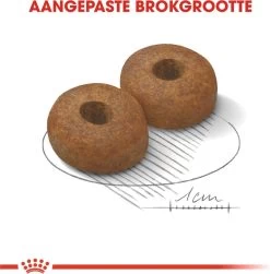 Royal Canin Maxi Ageing 8+ 15 KG 23 Royal Canin Maxi Ageing 8+ 15 KG -Dierenwinkel 1179x1200 3