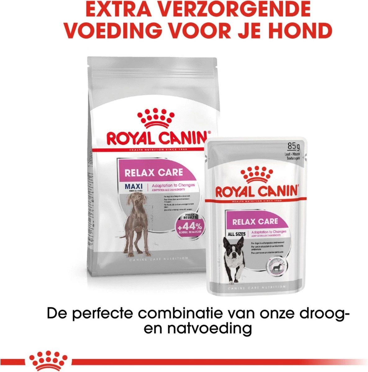 Royal Canin Ccn Relax Care Maxi - Hondenvoer - 9 Kg 7 Royal Canin Ccn Relax Care Maxi - Hondenvoer - 9 Kg - Afbeelding 5