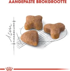 Royal Canin Sensible 33 - Kattenvoer - 10+2 Kg Bonusbag -Dierenwinkel 1185x1200 4