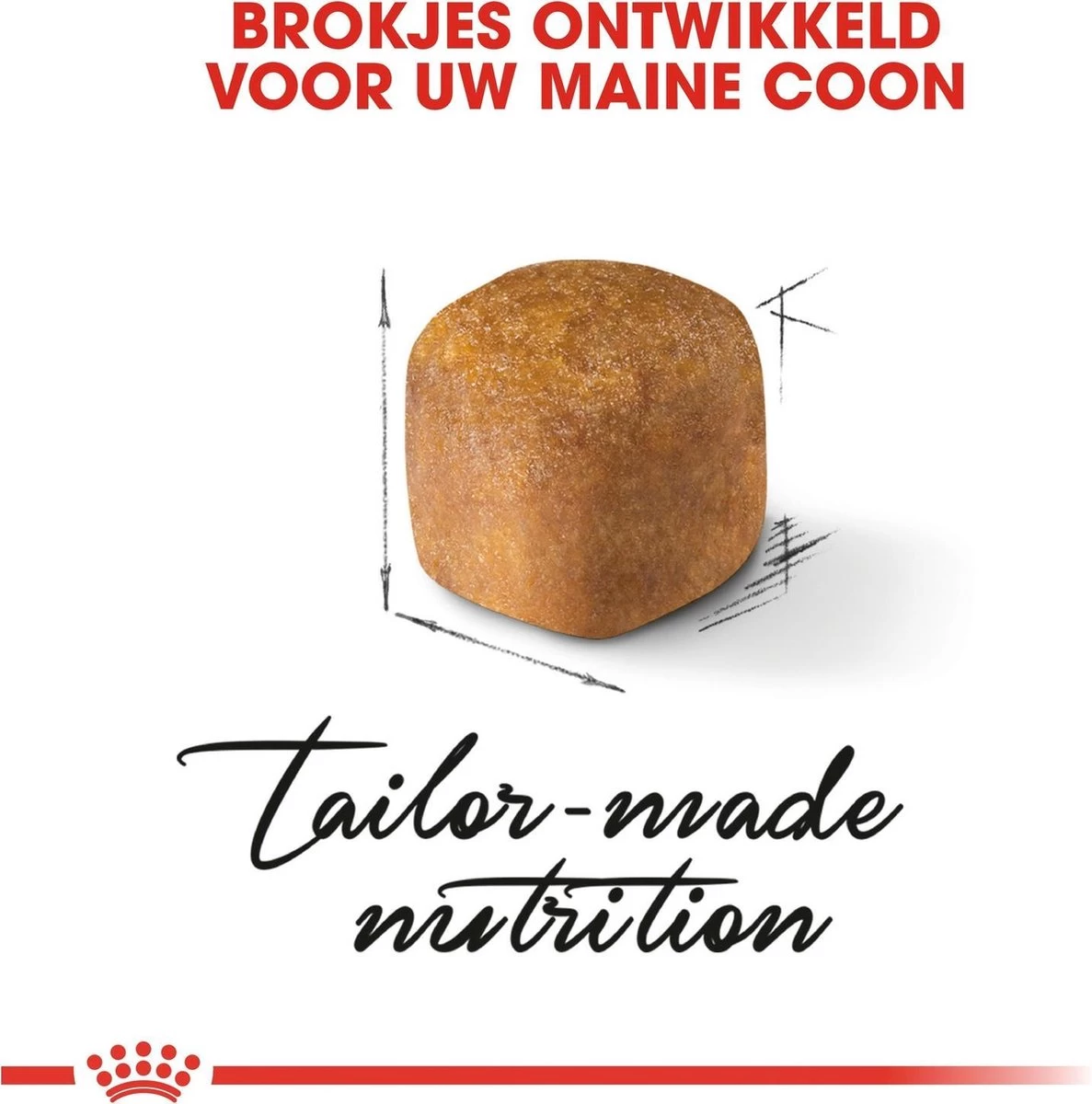 Royal Canin Maine Coon Kitten - Kattenvoer - 4 Kg 5 Royal Canin Maine Coon Kitten - Kattenvoer - 4 Kg - Afbeelding 3