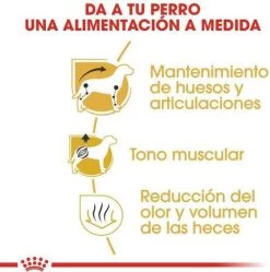 Royal Canin Dachshund/Teckel Adult 7.5 KG 22 Royal Canin Dachshund/Teckel Adult 7.5 KG -Dierenwinkel 1190x1200