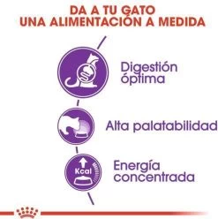 Royal Canin Sensible 33 - Kattenvoer - 10+2 Kg Bonusbag -Dierenwinkel 1197x1200 3