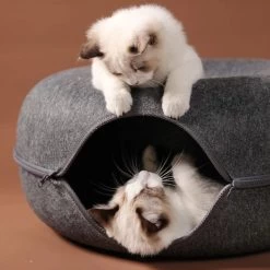 Merkloos A.K.A. Kattentunnel En Kattenmand In-1 – Kattenspeelgoed Speeltunnel Kattenhuis – Kattenhol Rond Kattenspeeltjes - Cat Cave Donut - Antraciet Vilt 12 Merkloos A.K.A. Kattentunnel En Kattenmand In-1 – Kattenspeelgoed Speeltunnel Kattenhuis – Kattenhol Rond Kattenspeeltjes - Cat Cave Donut - Antraciet Vilt -Dierenwinkel 1198x1200 9
