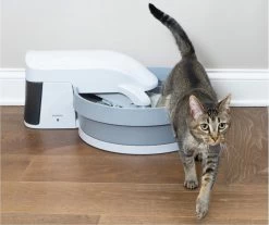 Zelfreinigende Kattenbak - PetSafe Simply Clean - Fluisterstil Met Koolstoffilter Tegen Geurtjes 17 Zelfreinigende Kattenbak - PetSafe Simply Clean - Fluisterstil Met Koolstoffilter Tegen Geurtjes -Dierenwinkel 1200x1005