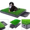 Merkloos Hondentoilet Kunstgras Met Bak - Indoor Dierentoilet - Uitneembare Opvangbak - Puppy Training Pets - Outdoor/Balkon/Tuin/Indoor Toilet - 50x64 Cm 2 Merkloos Hondentoilet Kunstgras Met Bak - Indoor Dierentoilet - Uitneembare Opvangbak - Puppy Training Pets - Outdoor/Balkon/Tuin/Indoor Toilet - 50x64 Cm -Dierenwinkel 1200x1041 2