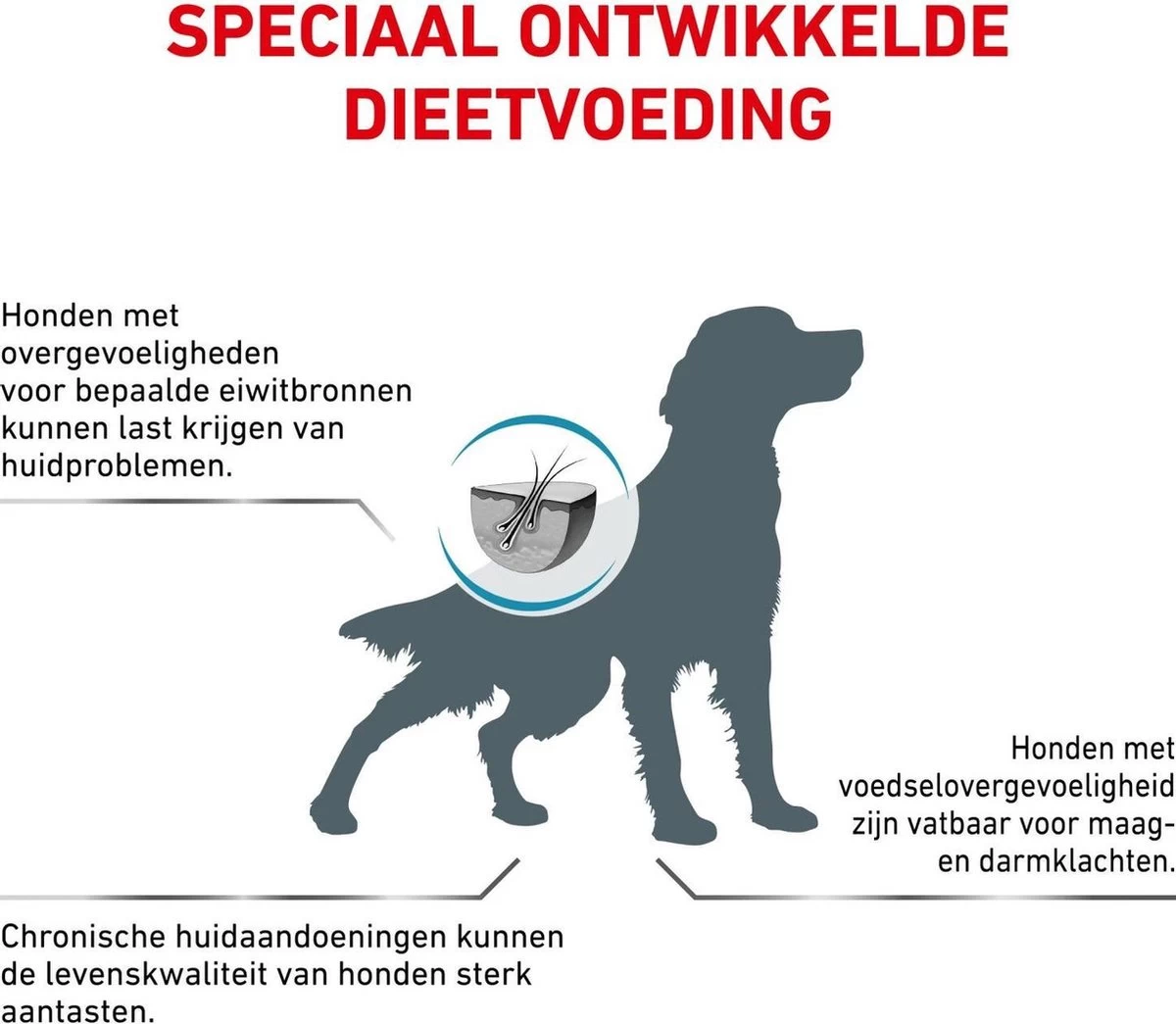 Royal Canin Anallergenic - Hondenvoer - 8 Kg 6 Royal Canin Anallergenic - Hondenvoer - 8 Kg - Afbeelding 4