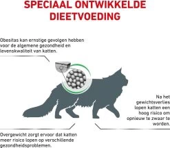 Royal Canin Satiety Weight Management - Kattenvoer - 6 Kg -Dierenwinkel 1200x1050 4