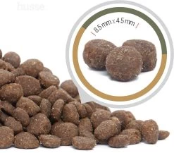 Husse Opus Lynx Graanvrij Kattenvoer - 7 Kg 12 Husse Opus Lynx Graanvrij Kattenvoer - 7 Kg -Dierenwinkel 1200x1056 2