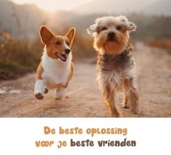 Dubbele Honden Riem – Leiband Hond – Hondenlijn – Looplijn Hond – 2 Honden – 3 Meter – Tot 12kg Per Hond – Reflecterende Lijnen – Met Zaklamp – 360° Draaien – Verstelbaar - Zwart 19 Dubbele Honden Riem – Leiband Hond – Hondenlijn – Looplijn Hond – 2 Honden – 3 Meter – Tot 12kg Per Hond – Reflecterende Lijnen – Met Zaklamp – 360° Draaien – Verstelbaar - Zwart -Dierenwinkel 1200x1087 2