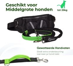 Canicross Looplijn Hond Met Heupriem Voor Hardlopen - Elastische Handsfree Hondenriem - Honden Trainingslijn - 150/200cm - Groen -Dierenwinkel 1200x1089