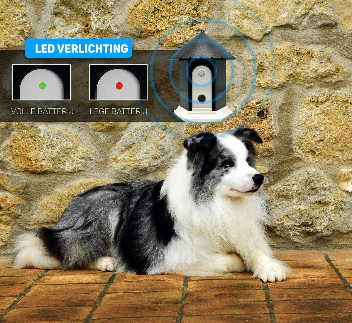 Vulpes Pets® Anti Blaf Apparaat Pro - Anti Blafband Voor Alle Honden - Luxe Hondentrainer - Diervriendelijk & Zonder Schok - Inclusief 9V Batterij - Waterbestendig - Ophangbaar - Instelbare Ultrasone Niveauregeling - 4 Standen 5 Vulpes Pets® Anti Blaf Apparaat Pro - Anti Blafband Voor Alle Honden - Luxe Hondentrainer - Diervriendelijk & Zonder Schok - Inclusief 9V Batterij - Waterbestendig - Ophangbaar - Instelbare Ultrasone Niveauregeling - 4 Standen - Afbeelding 3