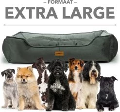 Primeplus Grote Hondenmand XL - Grijs - 100x80x20 CM - Orthopedische Hondenmanden - Hondenkussen -Dierenwinkel 1200x1114