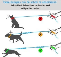Oak's First Elastische En Diervriendelijke Looplijn Met Heupriem - Hondenriem - 150cm/210cm - Grijs -Dierenwinkel 1200x1114 3