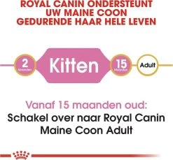 Royal Canin Maine Coon Kitten - Kattenvoer - 4 Kg 26 Royal Canin Maine Coon Kitten - Kattenvoer - 4 Kg -Dierenwinkel 1200x1114 8