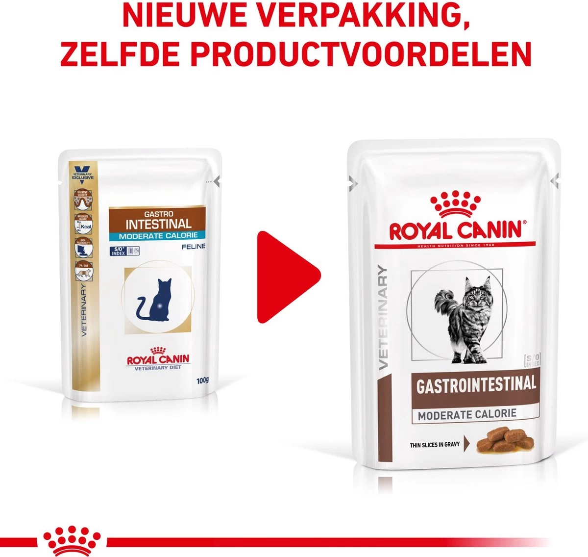 Royal Canin Gastro Intestinal Moderate Calorie Kat 12x85 Gr. 6 Royal Canin Gastro Intestinal Moderate Calorie Kat 12x85 Gr. - Afbeelding 4