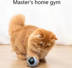 Otiume Interactieve Speelbal - Slimme Interactieve Jaag Speeltje Voor Katten - Kattenspeeltjes - Intelligente Jaagbal - AI -USB Oplaadbaar - LED - Blauw -Dierenwinkel 1200x1137 7