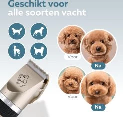 BYER Professionele Dieren Tondeuse Set - Voor Huisdieren Katten & Honden - Draadloos - Oplaadbare Pet Trimmer - Dog Tondeuze Clipper - 5 Standen & Vier Opzetkammen - Low Noise 14 BYER Professionele Dieren Tondeuse Set - Voor Huisdieren Katten & Honden - Draadloos - Oplaadbare Pet Trimmer - Dog Tondeuze Clipper - 5 Standen & Vier Opzetkammen - Low Noise -Dierenwinkel 1200x1144 1