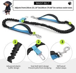 BOTC Looplijn Hond Met Heupriem Voor Hardlopen - Met Drinkbak Hond - Hondenriem - 1 Roll Poep Zakjes - Zwart 21 BOTC Looplijn Hond Met Heupriem Voor Hardlopen - Met Drinkbak Hond - Hondenriem - 1 Roll Poep Zakjes - Zwart -Dierenwinkel 1200x1159 1