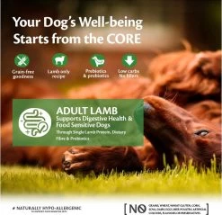 Wellness Core Grain Free Dog Adult Lam - Hondenvoer - 10 Kg 10 Wellness Core Grain Free Dog Adult Lam - Hondenvoer - 10 Kg -Dierenwinkel 1200x1159 2