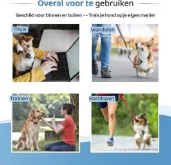 Diervriendelijke Ultrasone Anti- Blaf Apparaat 2023 + Batterijen - Extra Snel Van Blaffen Af - Anti Blafband – Honden Training Blaffen – Hondentrainer -Dierenwinkel 1200x1159
