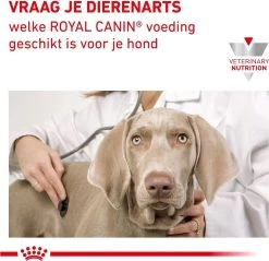 Royal Canin Anallergenic - Hondenvoer - 8 Kg 13 Royal Canin Anallergenic - Hondenvoer - 8 Kg -Dierenwinkel 1200x1161 3