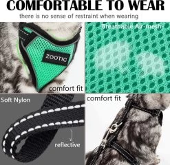 Kattentuigje Met Leiband Riem Kattenharnas Groen Maat M Kat & Kitten - Dieren Kattenriem - Cat Leash - Halsomvang 20 Tot 26cm - Borstomvang 30 Tot 34cm - Zootic® -Dierenwinkel 1200x1164 4