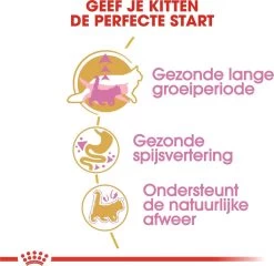 Royal Canin Maine Coon Kitten - Kattenvoer - 4 Kg 21 Royal Canin Maine Coon Kitten - Kattenvoer - 4 Kg -Dierenwinkel 1200x1168 5