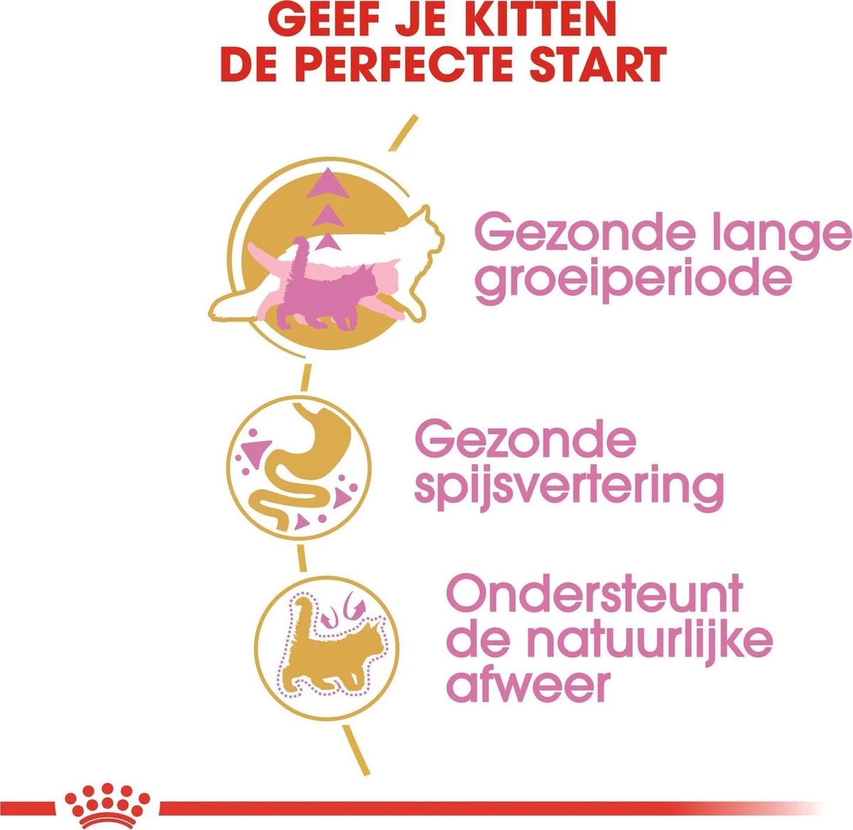 Royal Canin Maine Coon Kitten - Kattenvoer - 4 Kg 7 Royal Canin Maine Coon Kitten - Kattenvoer - 4 Kg - Afbeelding 5