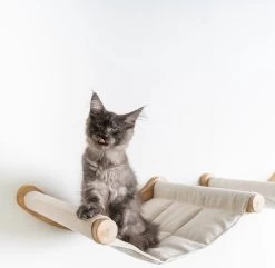 RHRQuality Wandmeubel Wandmontage Klimmuur Kat 53 X 43cm Luxe Hangmat XXL Creme Klim Wand Muur Krabpaal Katten Muurbevestiging