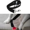 Merkloos Auto Veiligheidsgordel - Hondengordel - 2.5 Cm -Dierenwinkel 1200x1186