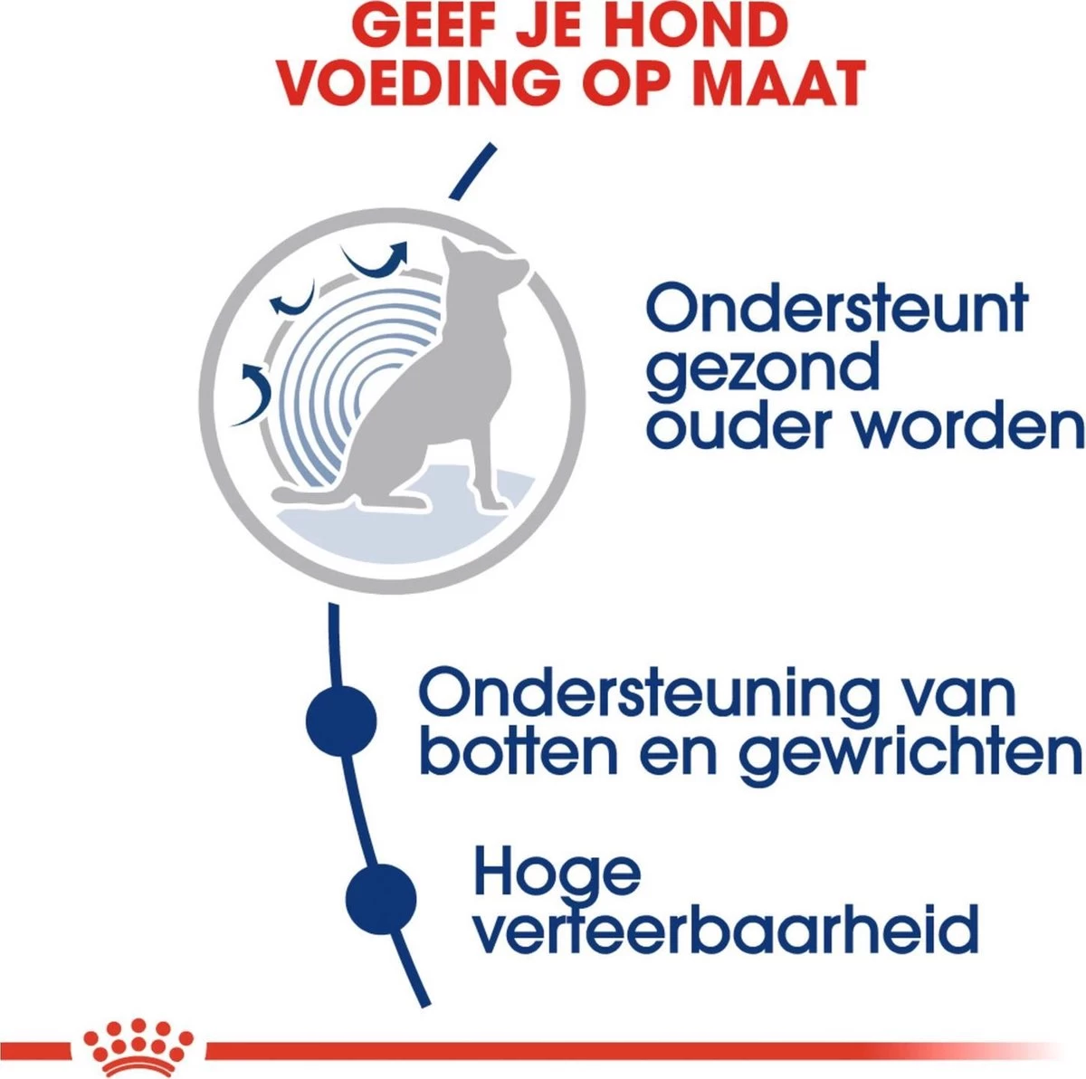 Royal Canin Maxi Ageing 8+ 15 KG 5 Royal Canin Maxi Ageing 8+ 15 KG - Afbeelding 3