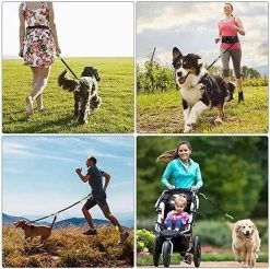 Canicross Looplijn Hond Met Heupriem Voor Hardlopen - Elastische Handsfree Hondenriem - Honden Trainingslijn - 150/200cm - Grijs 21 Canicross Looplijn Hond Met Heupriem Voor Hardlopen - Elastische Handsfree Hondenriem - Honden Trainingslijn - 150/200cm - Grijs -Dierenwinkel 1200x1196