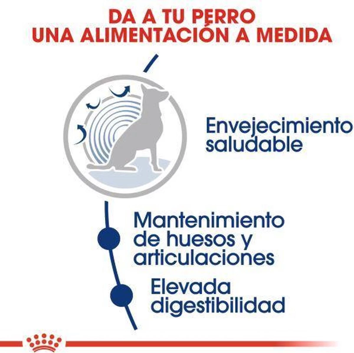 Royal Canin Maxi Ageing 8+ 15 KG 9 Royal Canin Maxi Ageing 8+ 15 KG - Afbeelding 7