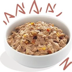 11x Edgard & Cooper Kuipje Vers Vlees Senior Hondenvoer Kip - Zalm 150 Gr -Dierenwinkel 1200x1198