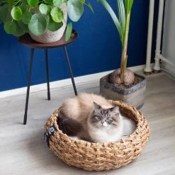 District 70 COCOON - Luxe Hondenmand Van Duurzaam Hoogwaardig Riet Met Zacht Kussen - Maten S/M/L - Large -Dierenwinkel 1200x1200 101