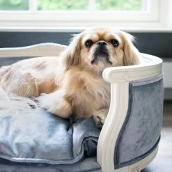 Lord Lou - George Roze Velvet S - Luxe Hondenmand - Luxe Kattenmand - 49x40x31 -Dierenwinkel 1200x1200 103